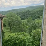 Bargi