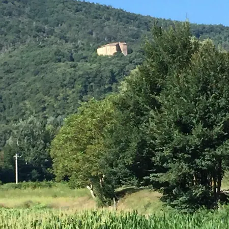 Bargi