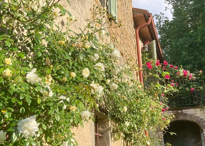 Gospodarstwo wiejskie Bargi Lugnano